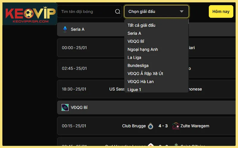 Danh sách tỷ số theo giải VĐQG, cúp và đội tuyển