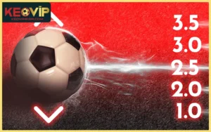 Cách Đọc Các Mốc Kèo Tài Xỉu Chuẩn Qua 5 Nhóm Cược